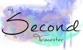 2nd Trimester Update with Twins