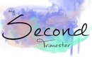 2nd Trimester Update with Twins