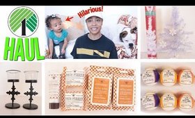 DOLLAR TREE HAUL! CHRISTMAS DECORATIONS 2017 + MORE!