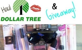 Dollar Tree Haul & Giveaway [August 13 2013]