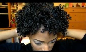 Natural Hair: Twist Out w/ Cantu Shea Butter Leave-in & Coconut Oil