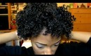 Natural Hair: Twist Out w/ Cantu Shea Butter Leave-in & Coconut Oil