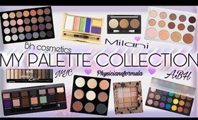 MY PALETTE COLLECTION/MILANI/BH COSMETICS/ABH/NYX