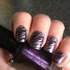 Zebra Print