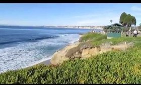 Creatures of La Jolla Beach