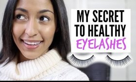 My Secret To Healthy Eyelashes!