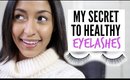 My Secret To Healthy Eyelashes!