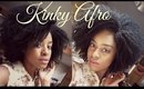 Chic Kinky Fro for under $21 | Sistawigs.com