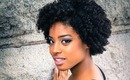 How to Achieve a Big Defined Afro!