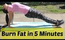 Burn Fat in 5 Minutes | Full Body At Home Workout