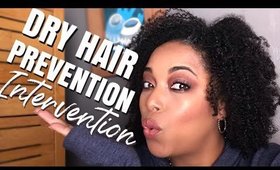 IT'S AN INTERVENTION for DRY HAIR PREVENTION | High Low Normal Porosity | MelissaQ