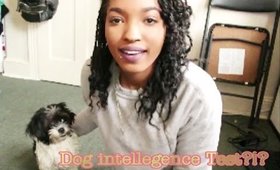 Dog Intellegence Test !?!