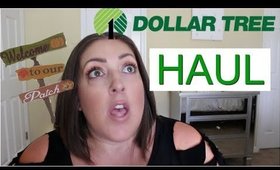 DOLLAR TREE HAUL