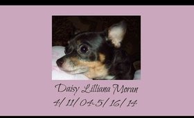 I will Miss You Daisy