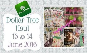 Dollar Tree Haul | #13 & 14 June 2016 | PrettyThingsRock