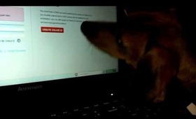 2013-01-18_13-51-40_933.mp4