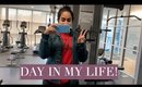 DAY IN MY LIFE VLOG | Grocery Haul