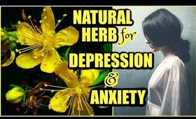 Natural Herb For Depression and Anxiety!│Saint John's Wort Benefits - Calms Nerves & Relax Muscles