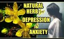 Natural Herb For Depression and Anxiety!│Saint John's Wort Benefits - Calms Nerves & Relax Muscles