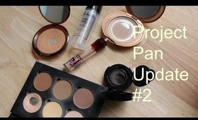 Project Pan Update #2 2015