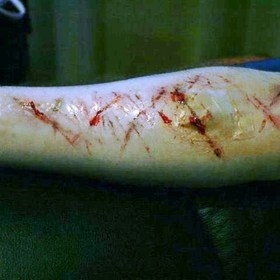SFX Work.
