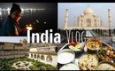 India Vlog - Delhi, Varanasi, Agra, Jaipur | MissBeautyAdikt