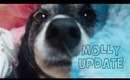 Molly Update