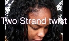 HAIR TUTORIAL | Two Strand Twist On Texlax Hair