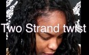 HAIR TUTORIAL | Two Strand Twist On Texlax Hair