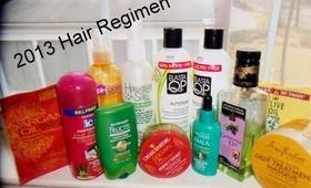 2013 Hair regimen products