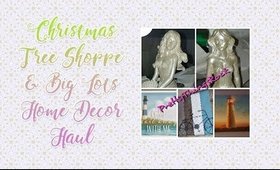 Home Decor Haul  | Christmas Tree Shoppe & Big Lots |  PrettyThingsRock