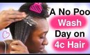 Clean 4c Natural Hair without using Shampoo: Wash Day Alternatives