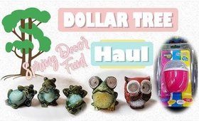 Dollar Tree Haul #8 | Spring Decor and More! | PrettyThingsRock