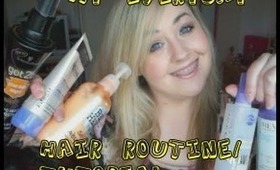 Everyday Hair Routine/Tutorial