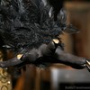 Black Swan bodyart