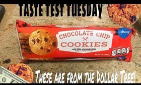 Taste Test Tuesday: Chewy Chocolate Chip Cookies from the Dollar Tree | April 3, 2018