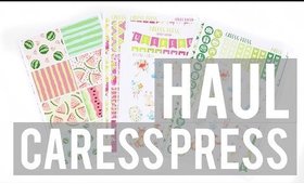 Caress Press Kit Haul \\ Erin Condren Vertical