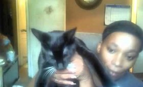 My cats Update howbig they have gotten