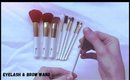 Pro Perfect 10 Brush Set From Royal Care Cosmetics