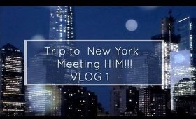 MEETING HIM IN NEW YORK | SYMONE UNIVERSE VLOG 1