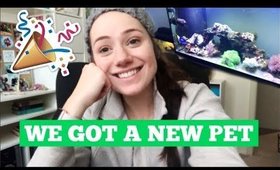 We Got a New Pet!