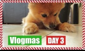 Starbucks Run & Doggy Cuddles | Vlogmas Day 3, 2015