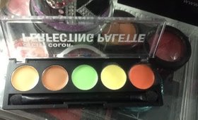 City Color Cosmetics Perfecting Palette