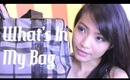 What's in My Bag / Purse