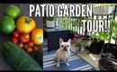 GARDEN TOUR 2018 | July Small Space Patio Garden Tour - Growing in Containers!!