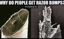 Why do people get Razor Bumps? (POWERFUL DEMO)