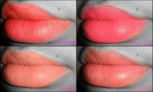 Favourite Lip Colours! http://sagaofafatshionista.blogspot.com/2011/11/favourite-lip-colours.html 