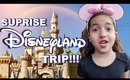 Surprise Disneyland Trip Vlog  Nura Afia