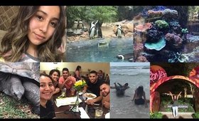 BIRTHDAY WEEKEND • TAMPA • BUSCH GARDENS & ADVENTURE ISLAND | Virginiaaaxo