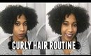 My Curly Hair Routine 2017
